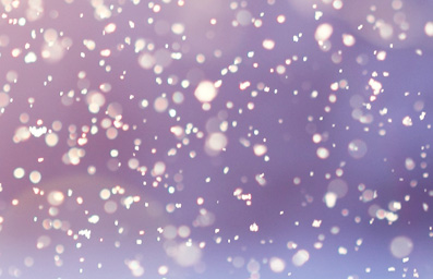 信誉保证的网站攻击软件工具